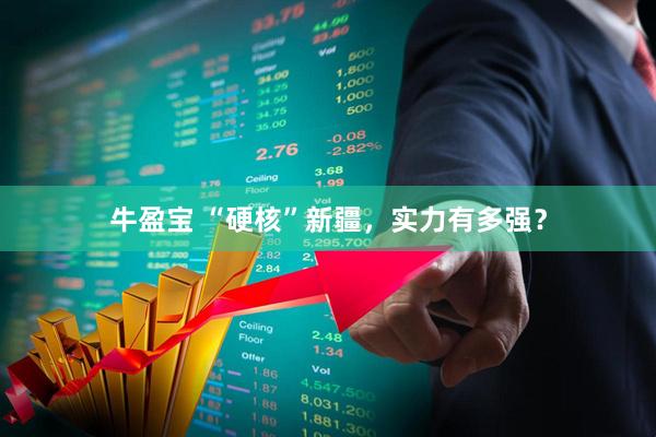 牛盈宝 “硬核”新疆，实力有多强？