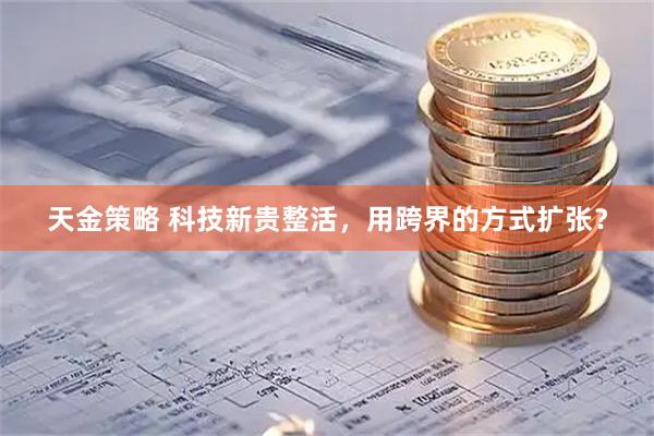 天金策略 科技新贵整活，用跨界的方式扩张？