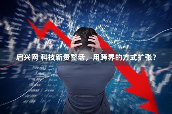 启兴网 科技新贵整活，用跨界的方式扩张？