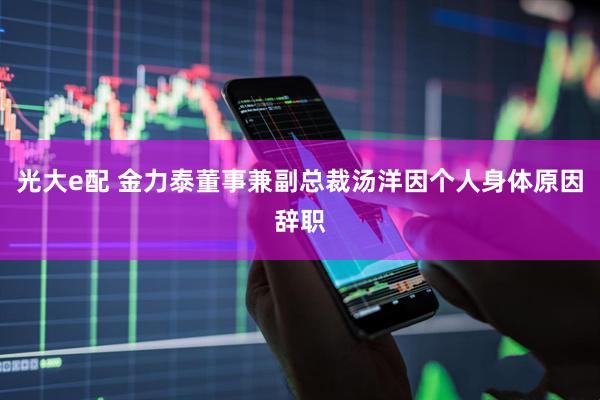 光大e配 金力泰董事兼副总裁汤洋因个人身体原因辞职
