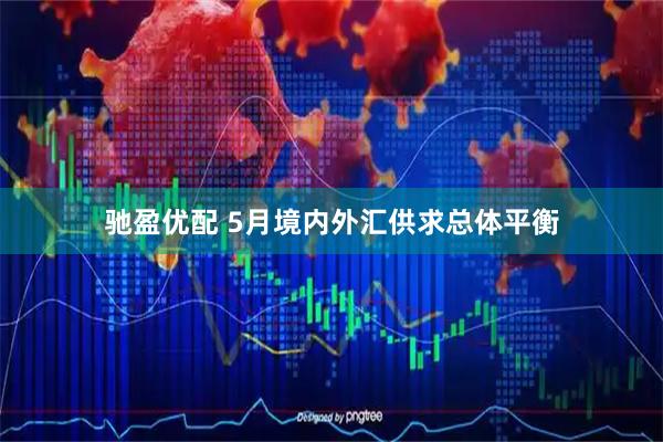 驰盈优配 5月境内外汇供求总体平衡