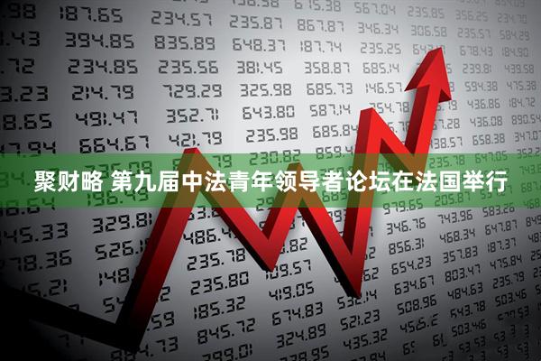 聚财略 第九届中法青年领导者论坛在法国举行