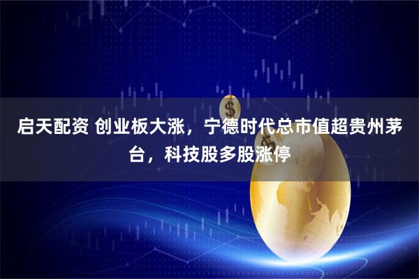 启天配资 创业板大涨，宁德时代总市值超贵州茅台，科技股多股涨停