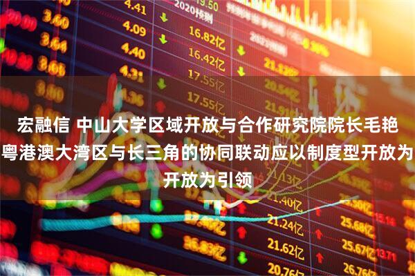 宏融信 中山大学区域开放与合作研究院院长毛艳华：粤港澳大湾区与长三角的协同联动应以制度型开放为引领