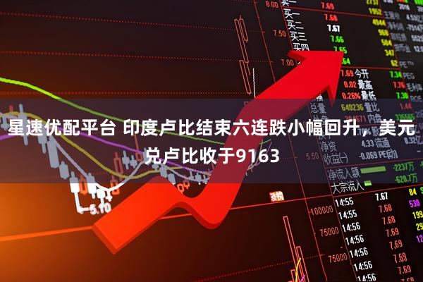 星速优配平台 印度卢比结束六连跌小幅回升，美元兑卢比收于9163