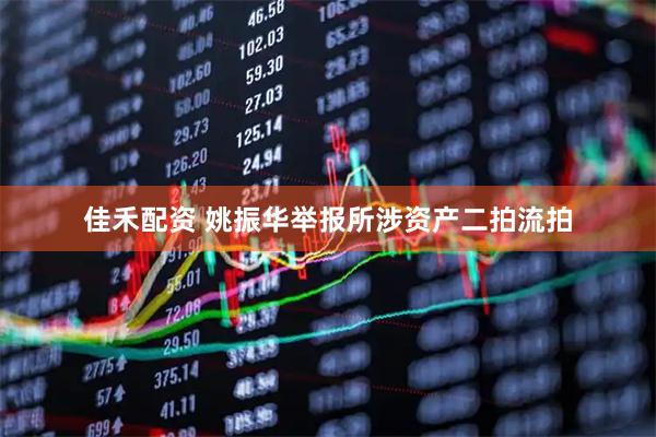 佳禾配资 姚振华举报所涉资产二拍流拍