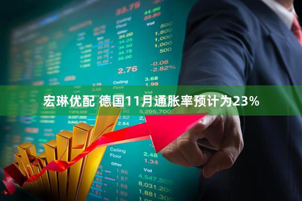 宏琳优配 德国11月通胀率预计为23%